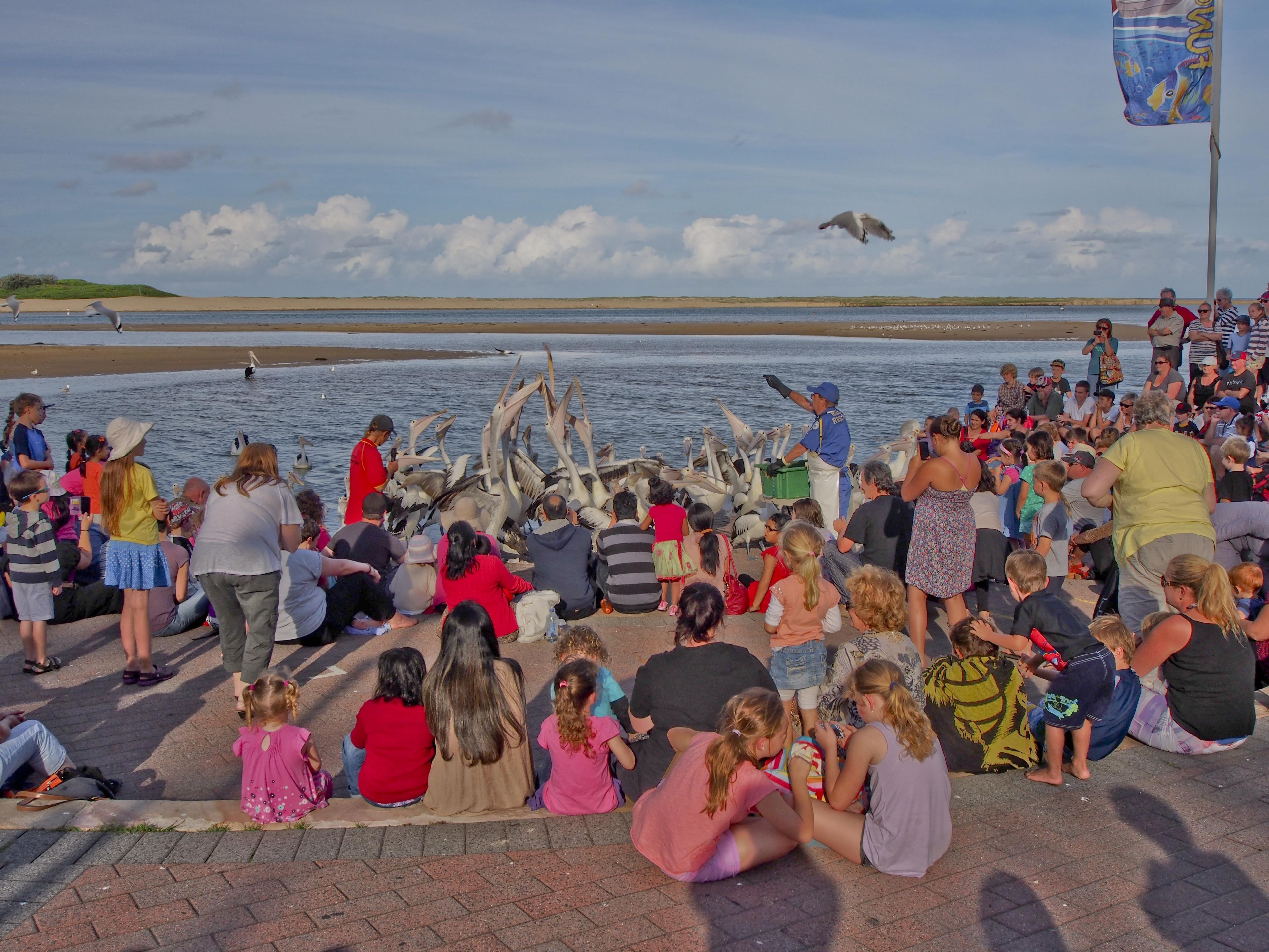 A group of people gathered by a waterfront, some sitting on the ground, others standing, with a seagull flying overhead.