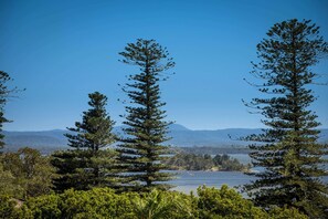 A landscape with tall evergreen trees and a body of water in the background.