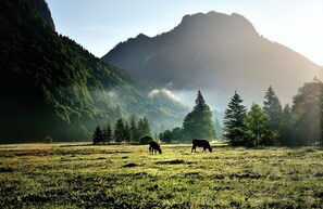 Blick auf die Berge