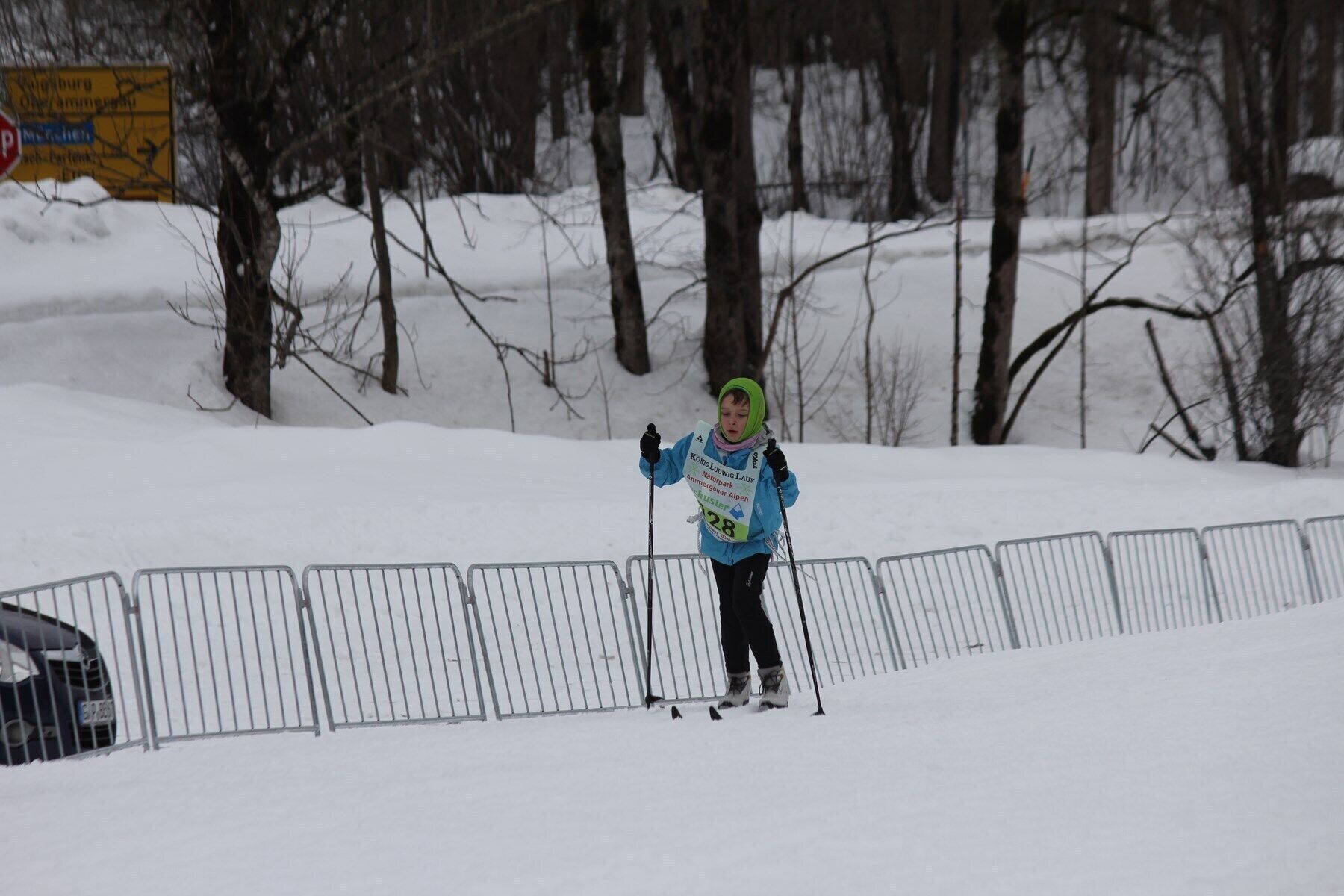 A person skiing on a snowy slope with bare trees in the background.