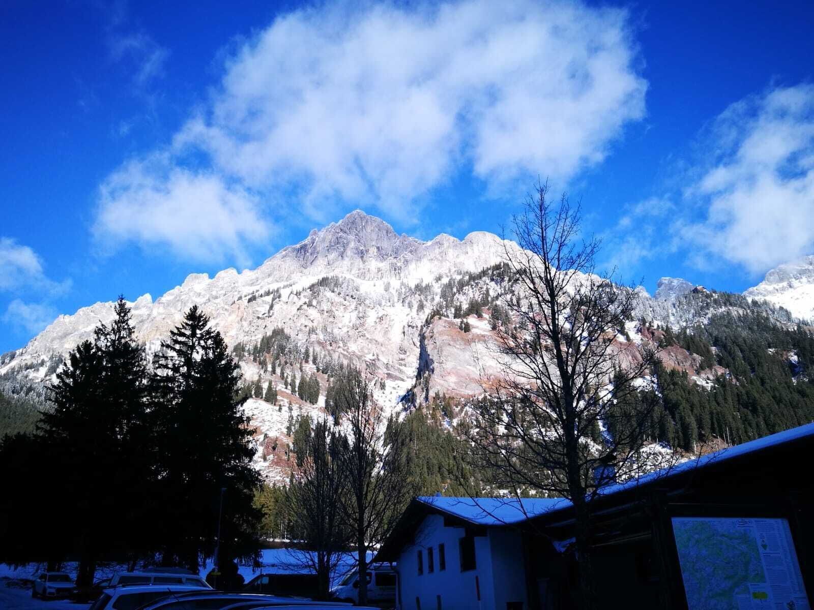 Eksteriør