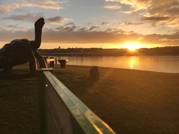 Vue sur la plage/l’océan