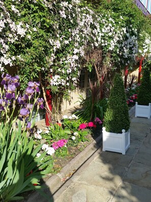 Blick auf den Garten