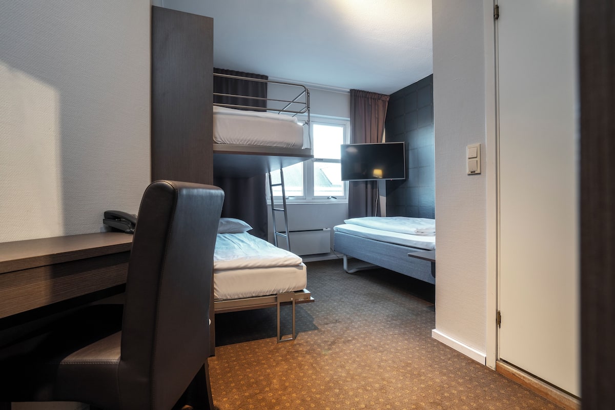 Habitación estándar, 3 camas individuales, no fumadores (3 beds) | Minibar, escritorio, tabla de planchar con plancha y cunas (de pago)