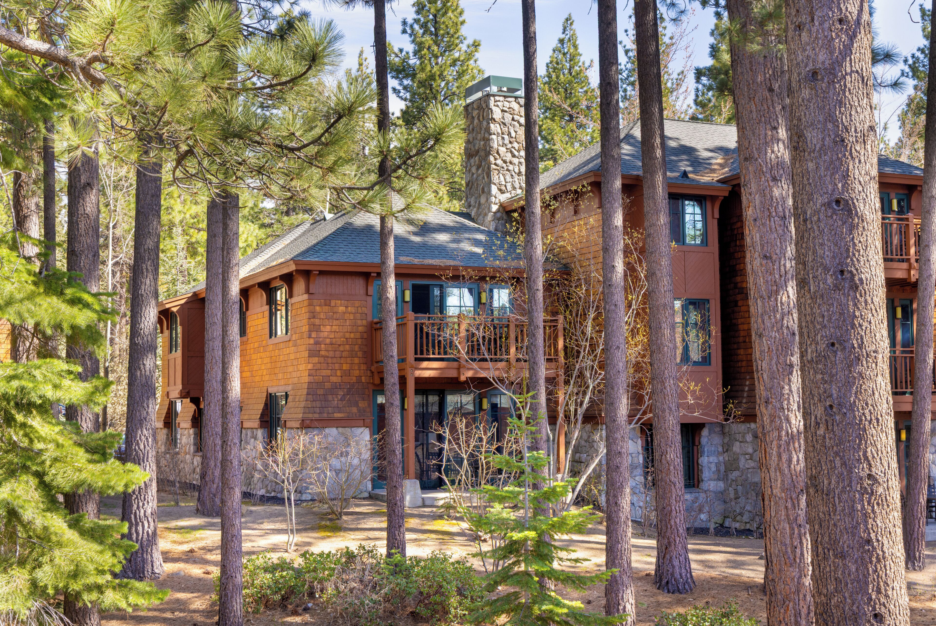 A multi-story log cabin with a stone chimney, surrounded by tall pine trees.