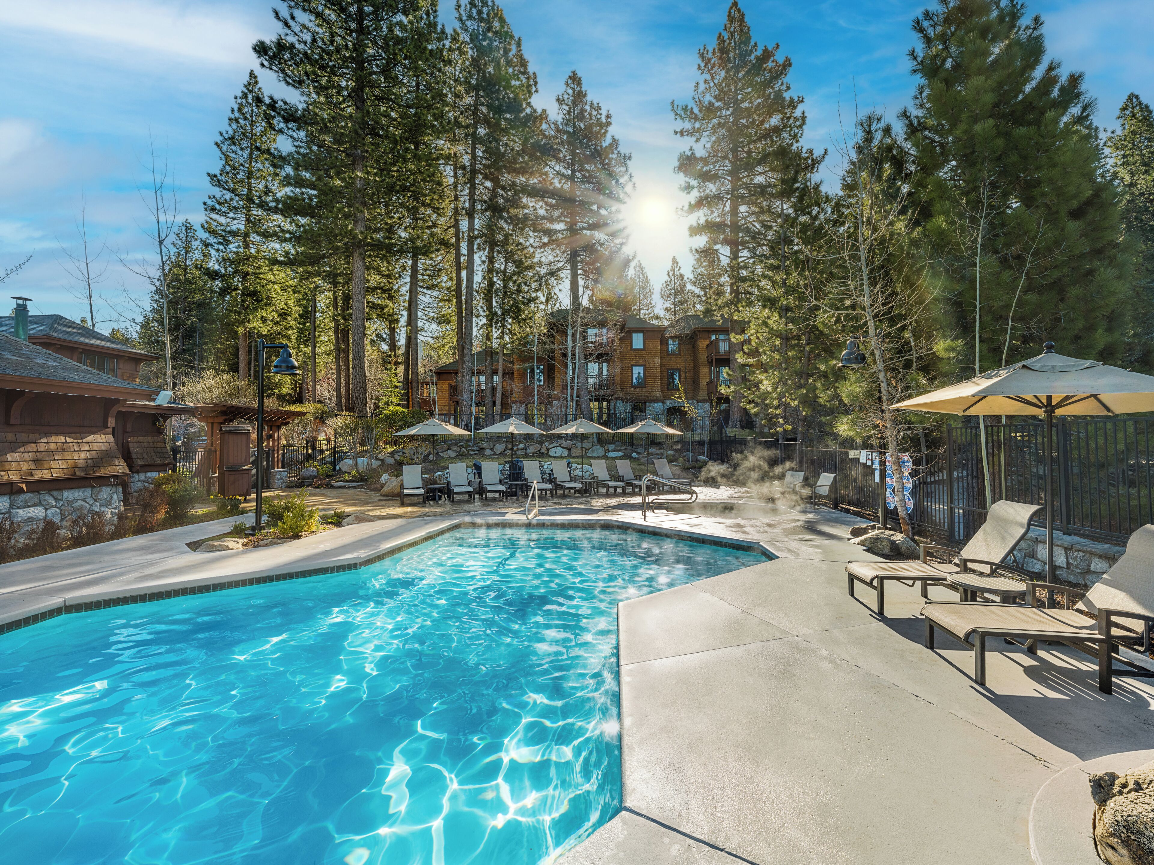 A swimming pool with lounge chairs and umbrellas, surrounded by tall trees and buildings.