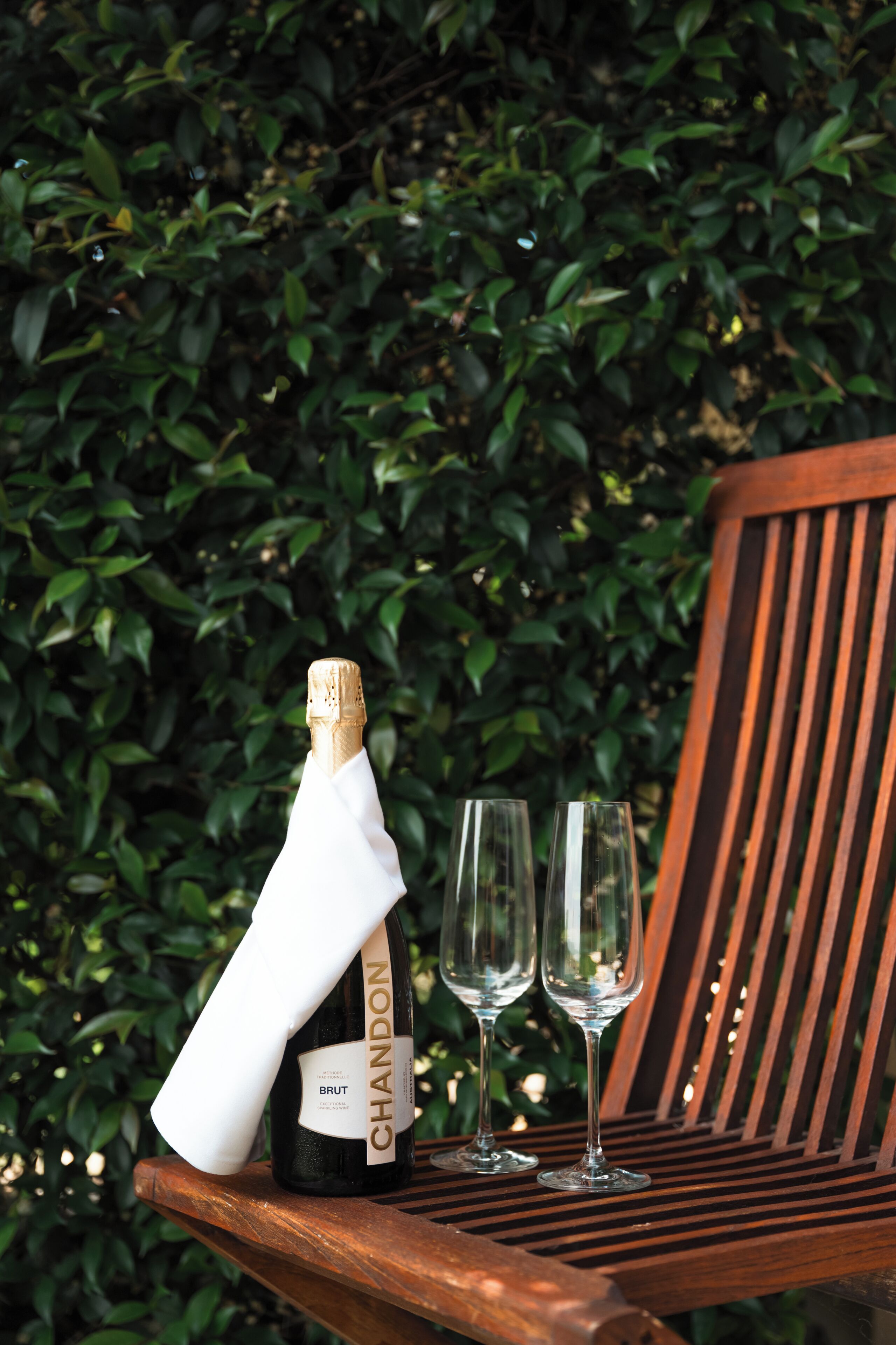 Une bouteille de champagne brut et deux verres posés sur un banc en bois, avec une haie verte en arrière-plan.