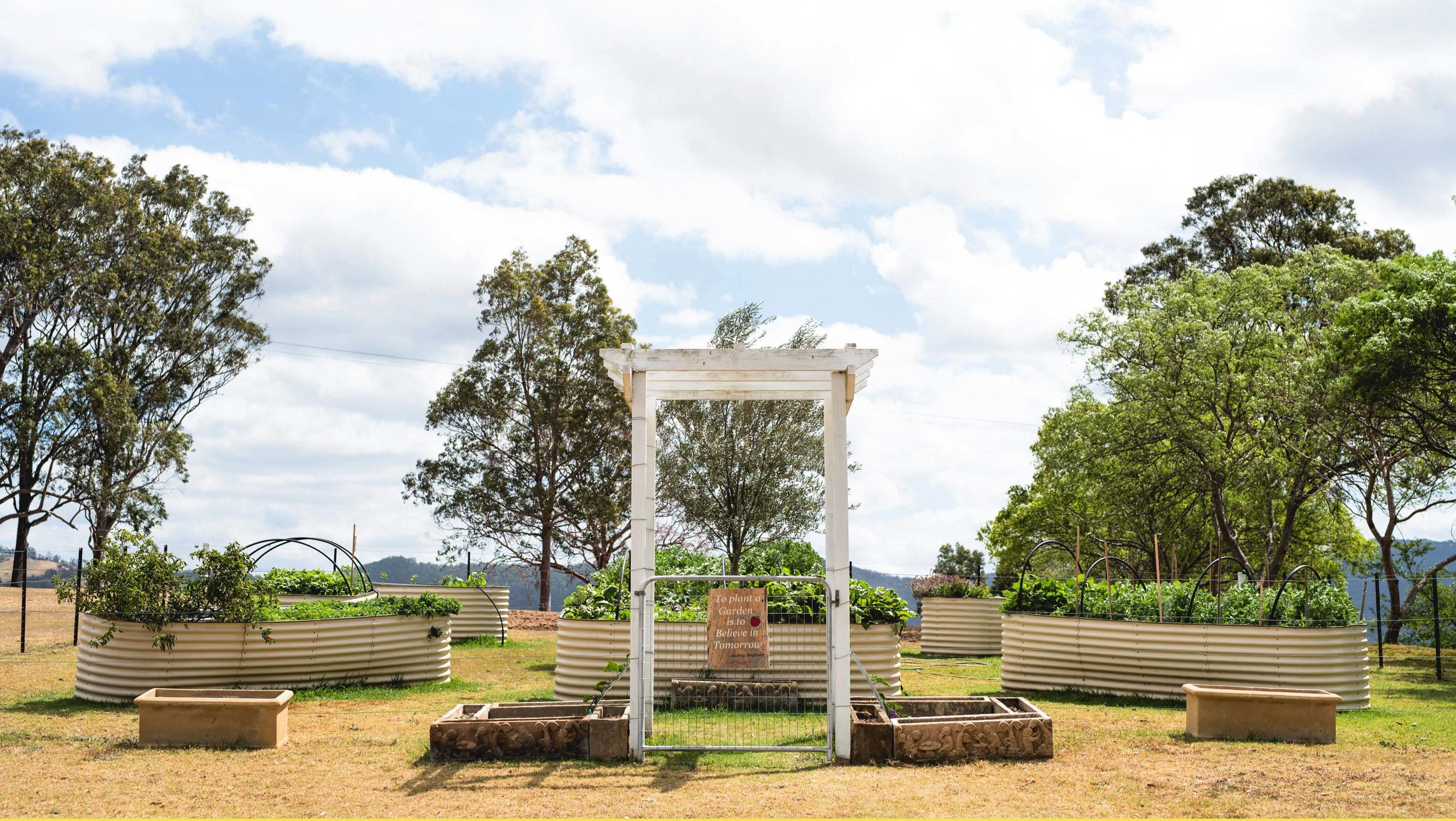 A garden with a white pergola structure surrounded by raised garden beds and trees.