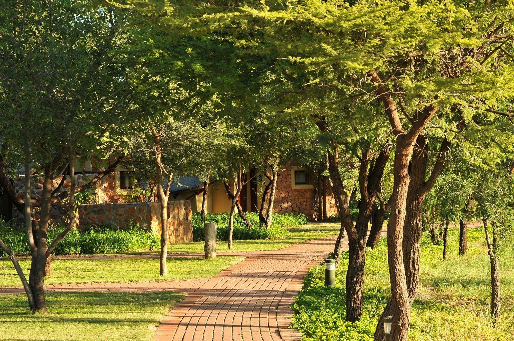A paved pathway through a park with trees and a stone wall.
