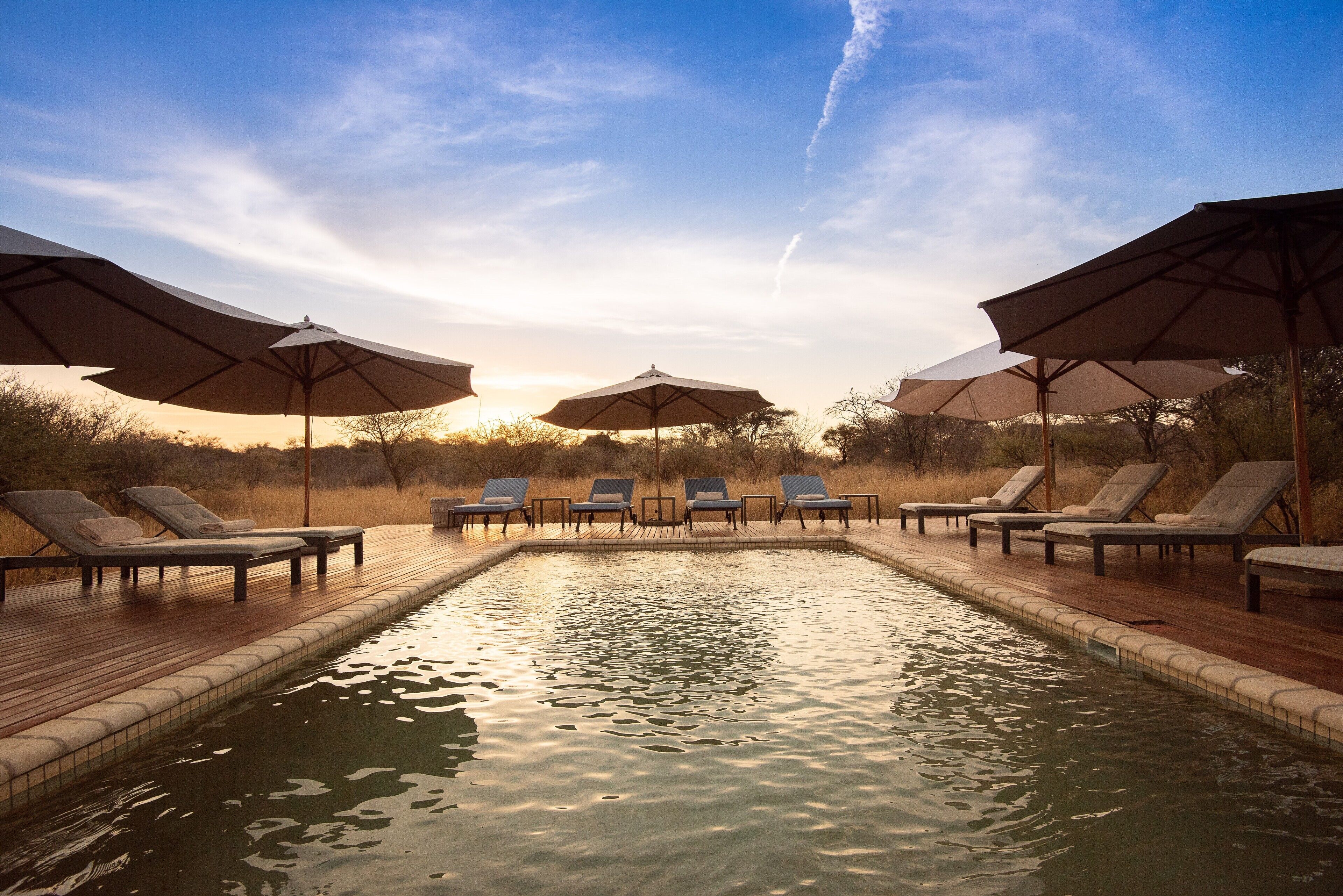 Seasonal outdoor pool, pool umbrellas, sun loungers