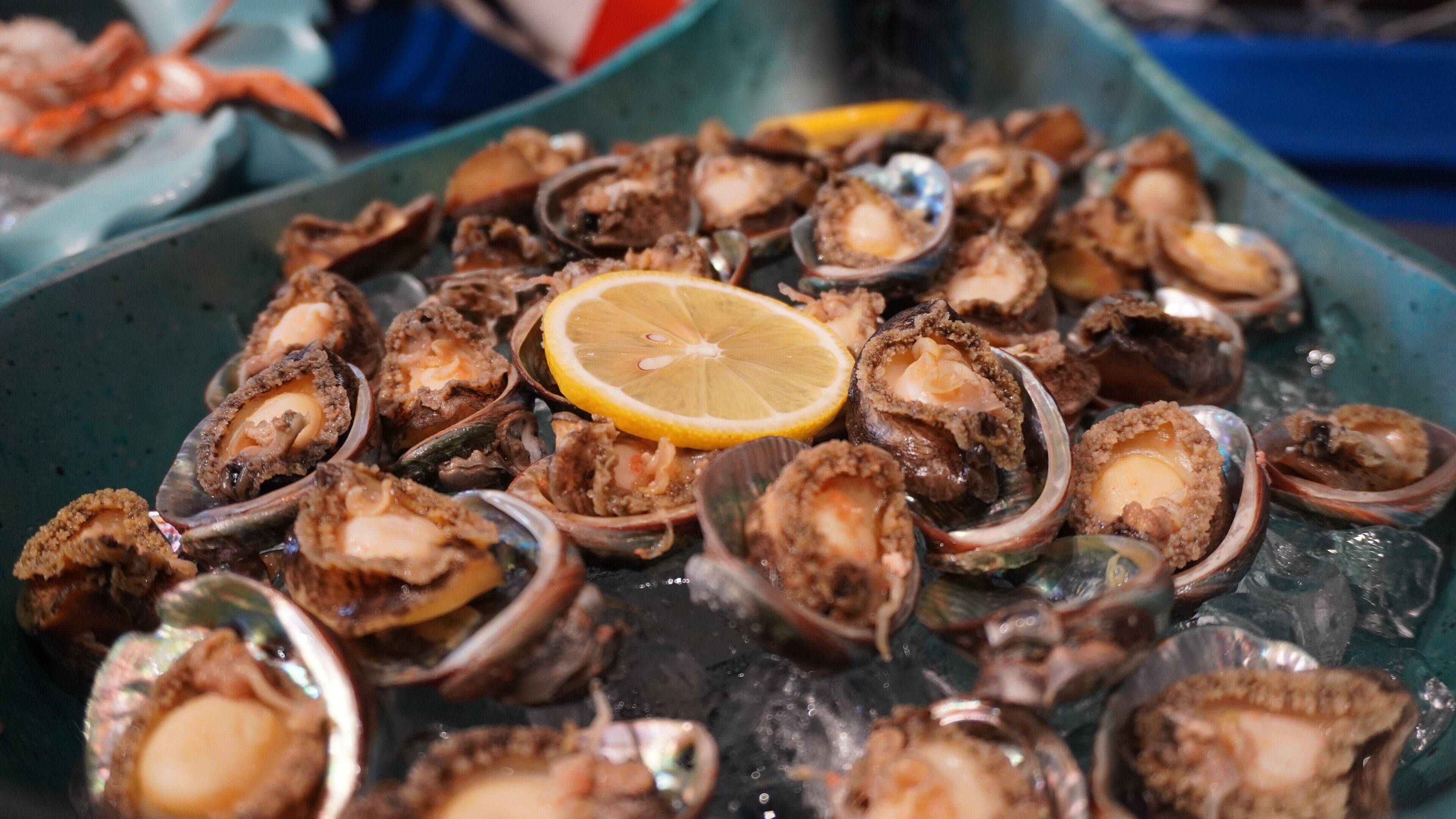 A tray of cooked clams with lemon slices on ice.