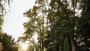 A serene garden with a pond, trees, and outdoor seating areas. - Parkhotel Gütersloh (Guetersloh)