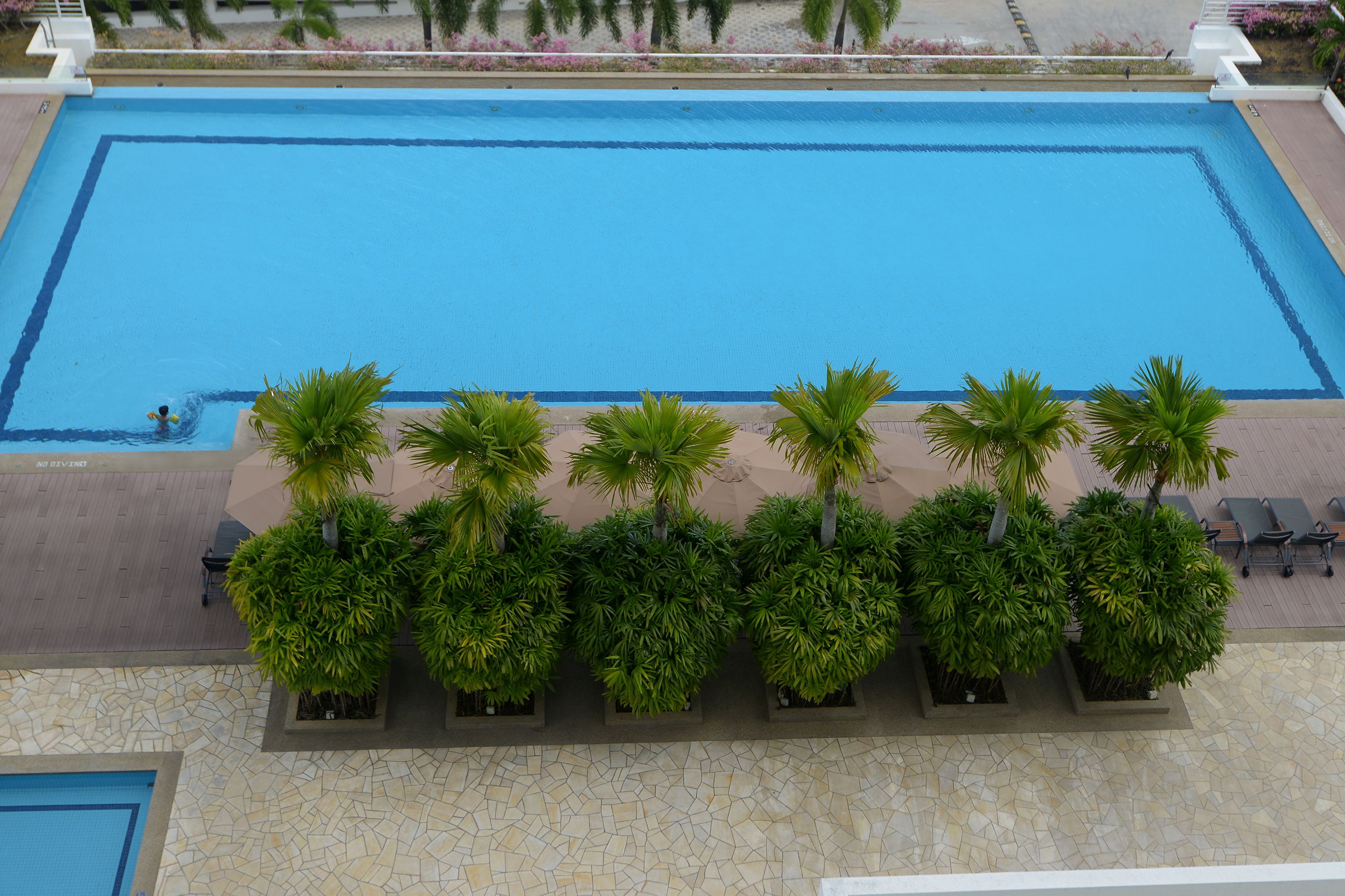 A swimming pool with a tiled deck, surrounded by palm trees and lounge chairs.