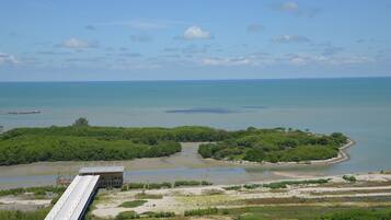Overlooking the bay, this coastal property offers stunning views of the surrounding waters.