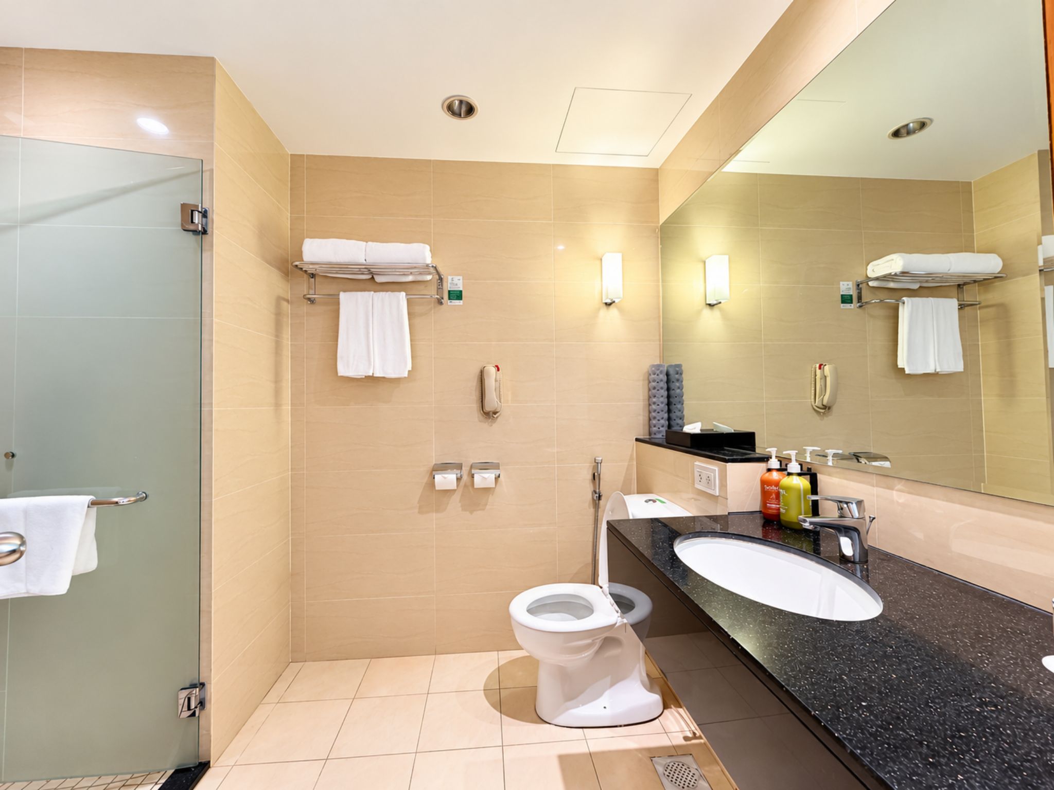 A modern bathroom with a glass shower enclosure, a toilet, a sink with a black countertop, and a large mirror.