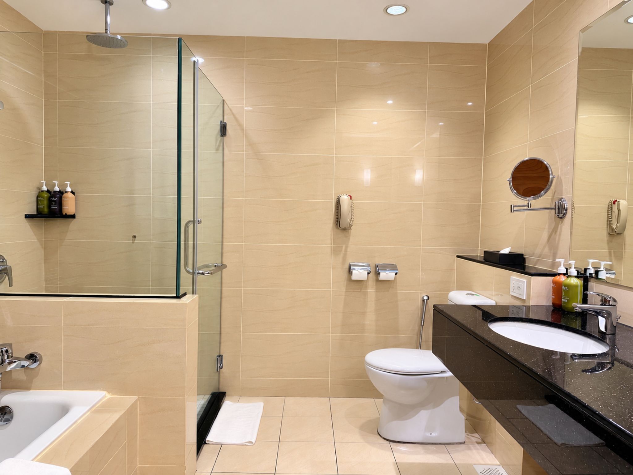 A modern bathroom with a glass-enclosed shower, a toilet, a sink, and a vanity with a mirror.