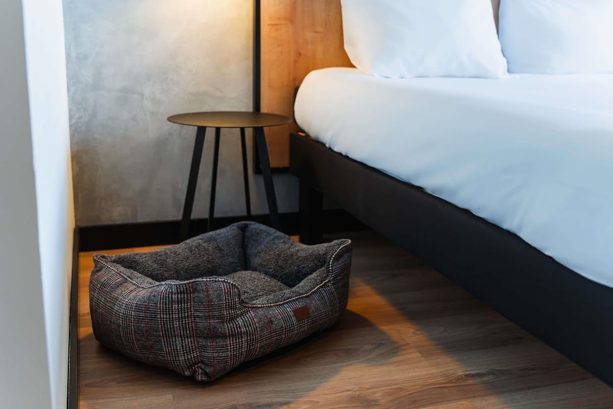 A neatly arranged hotel room with a bed, a small round table, and a patterned floor mat.
