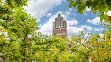 Landuitzicht vanuit accommodatie