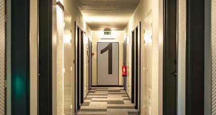 Ibis Guimaraes