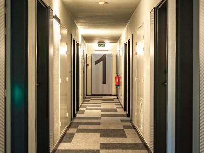 Ibis Guimaraes