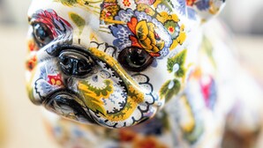 A colorful ceramic dog figurine with floral patterns. - ibis Styles Pontivy Centre Bretagne (Pontivy)