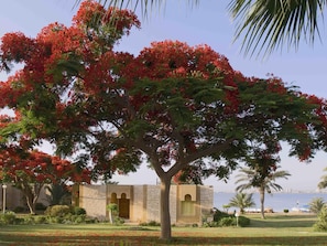 別墅, 3 間臥室 | 迷你吧、房內夾萬、獨特設計、獨特裝修