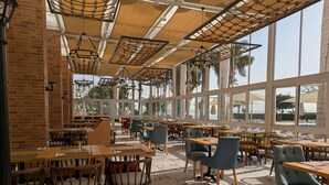 Un comedor amplio con varias mesas y sillas, grandes ventanales que ofrecen vistas a palmeras y al mar, y una pared de ladrillo en un lateral.