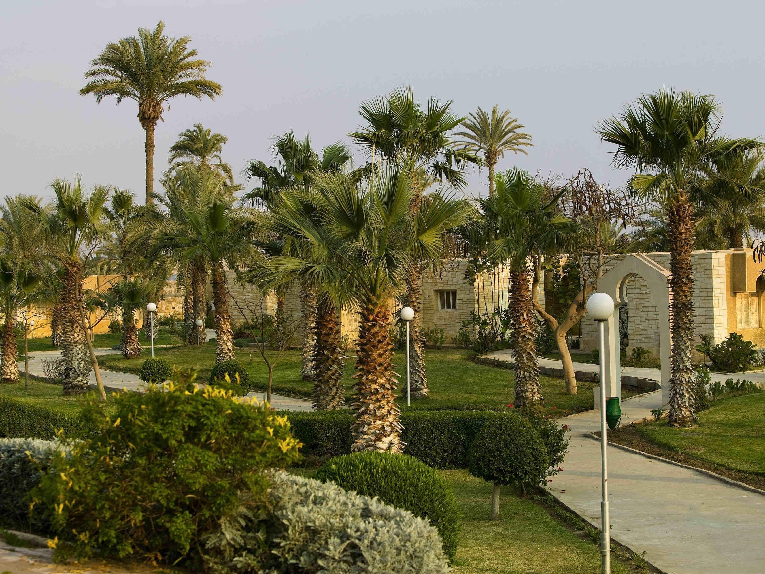 Minibar, in-room safe, individually decorated, individually furnished