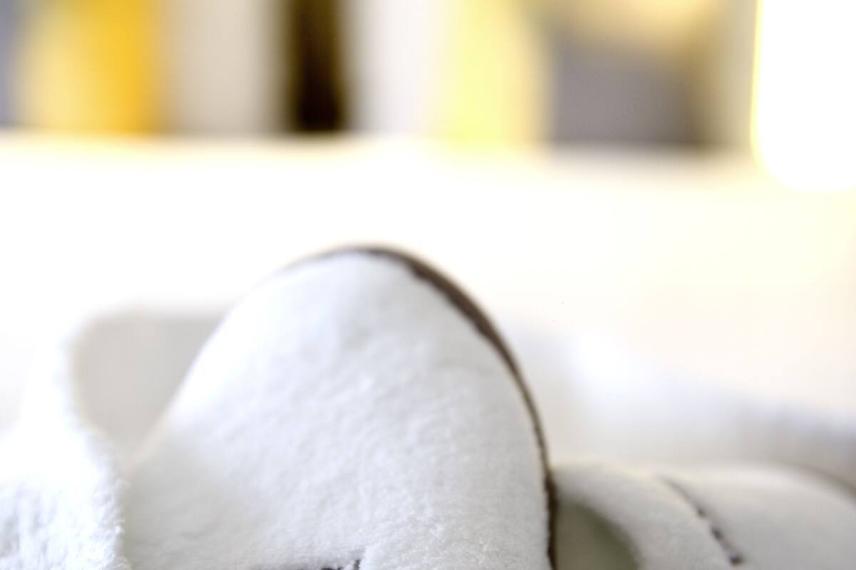 executive room, 1 double bed with sofa bed | in-room safe, desk, laptop workspace, soundproofing