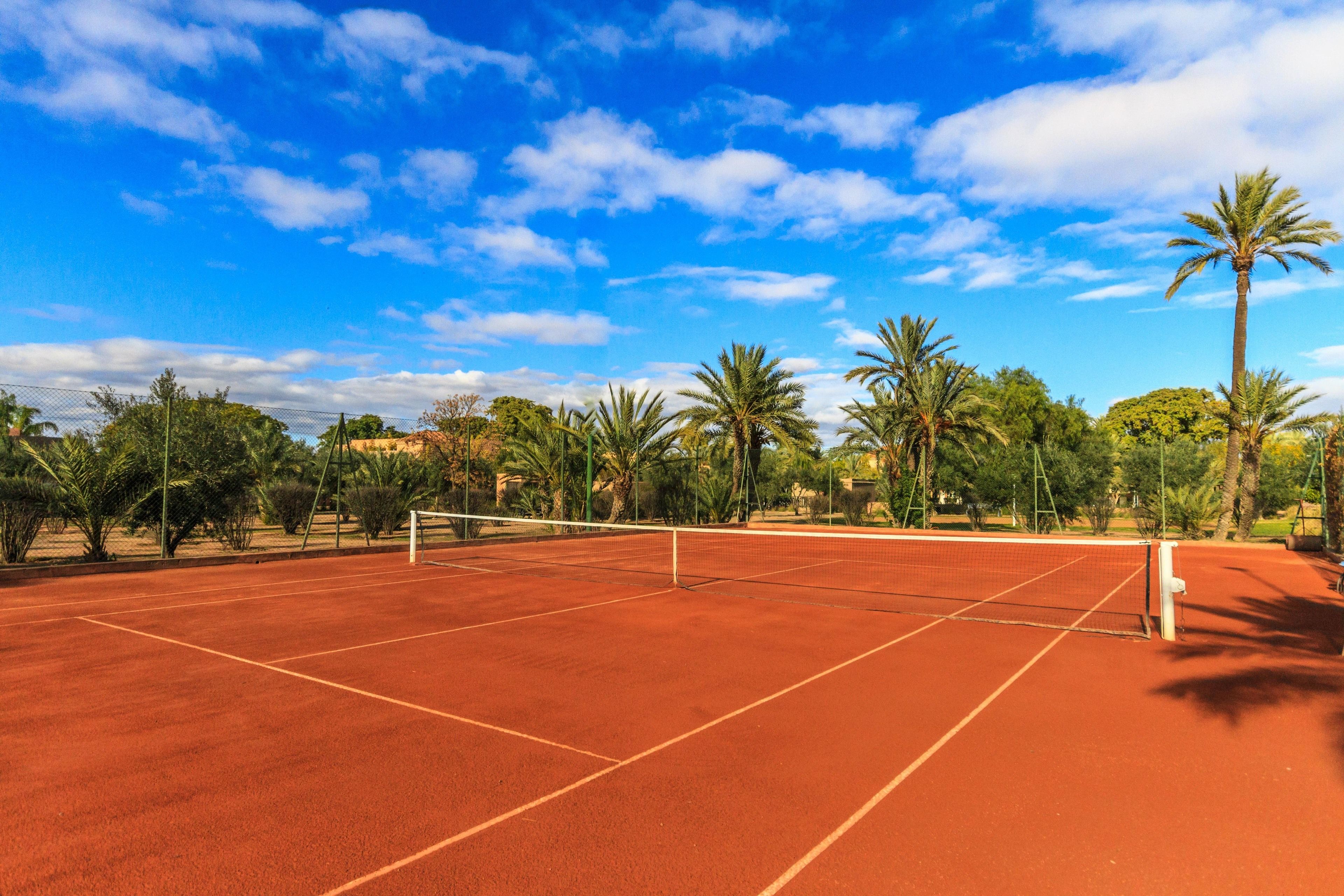 A tennis court with a net, surrounded by palm trees and a clear blue sky.