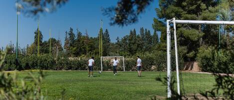 An outdoor soccer field with goalposts, surrounded by trees and greenery.