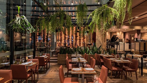 A restaurant with high ceilings, hanging plants, and a variety of seating arrangements.