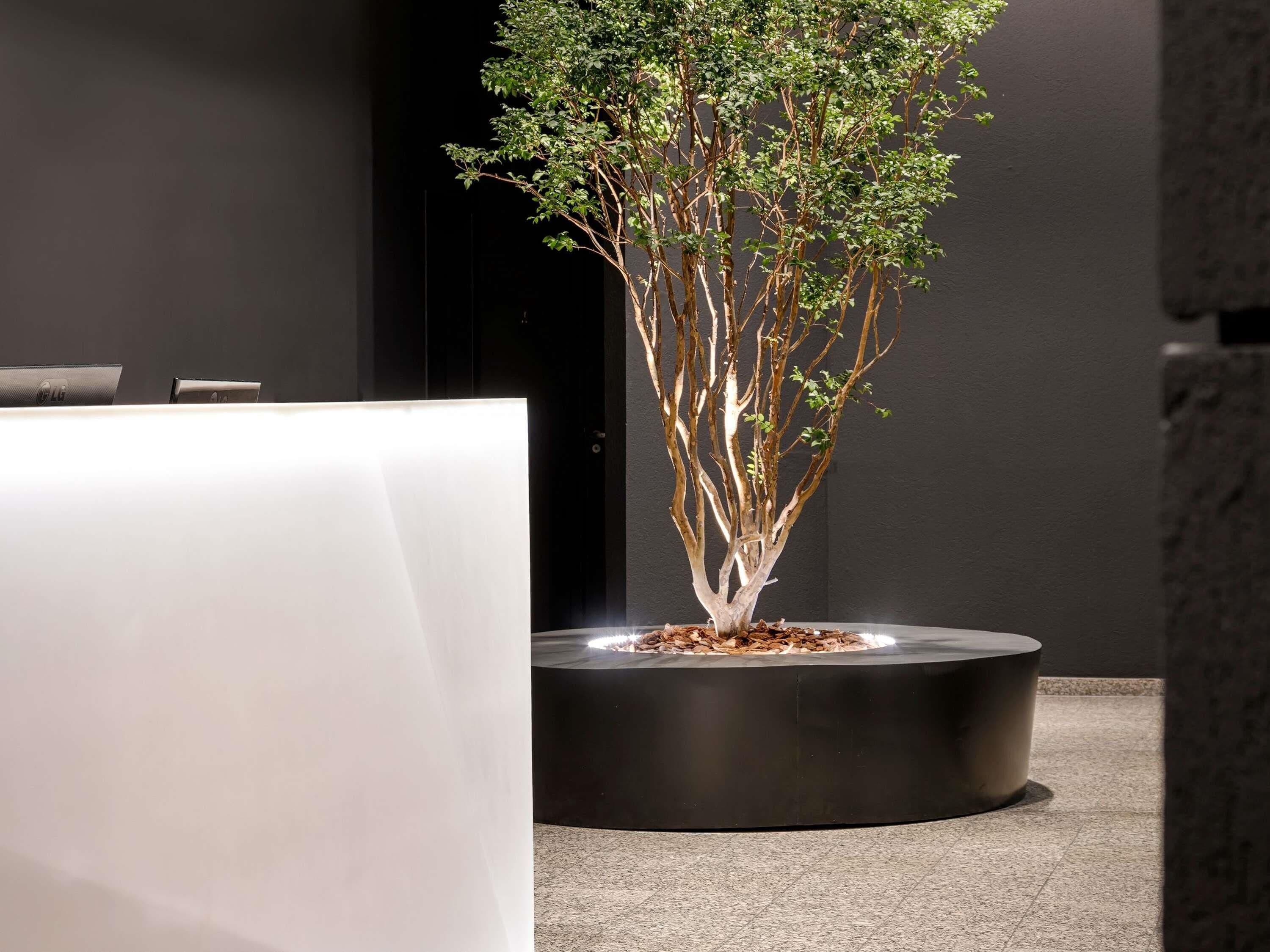 A modern indoor setting with a minimalist design, featuring a central black planter with a bonsai tree, a white table, and a dark wall.