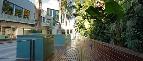 Una terraza de madera con bancos, rodeada de exuberante vegetación y un edificio moderno con grandes ventanales.
