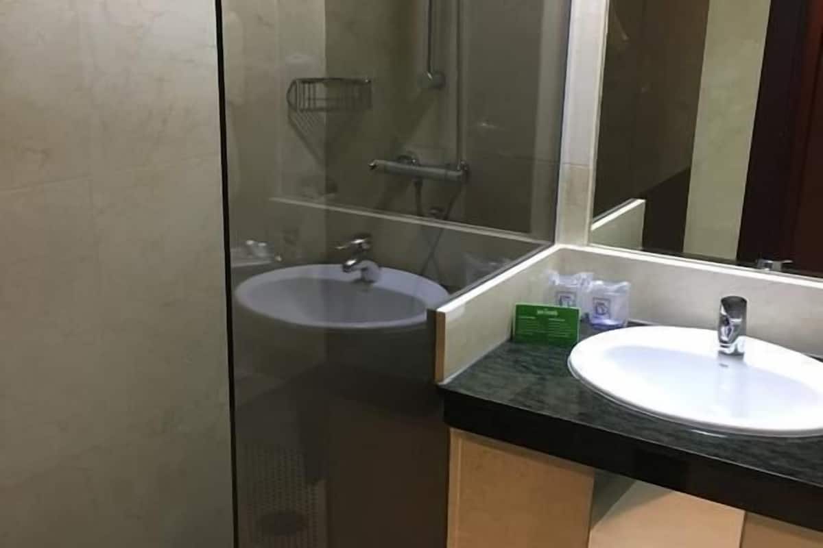 combined shower/bathtub, free toiletries, hair dryer, bidet