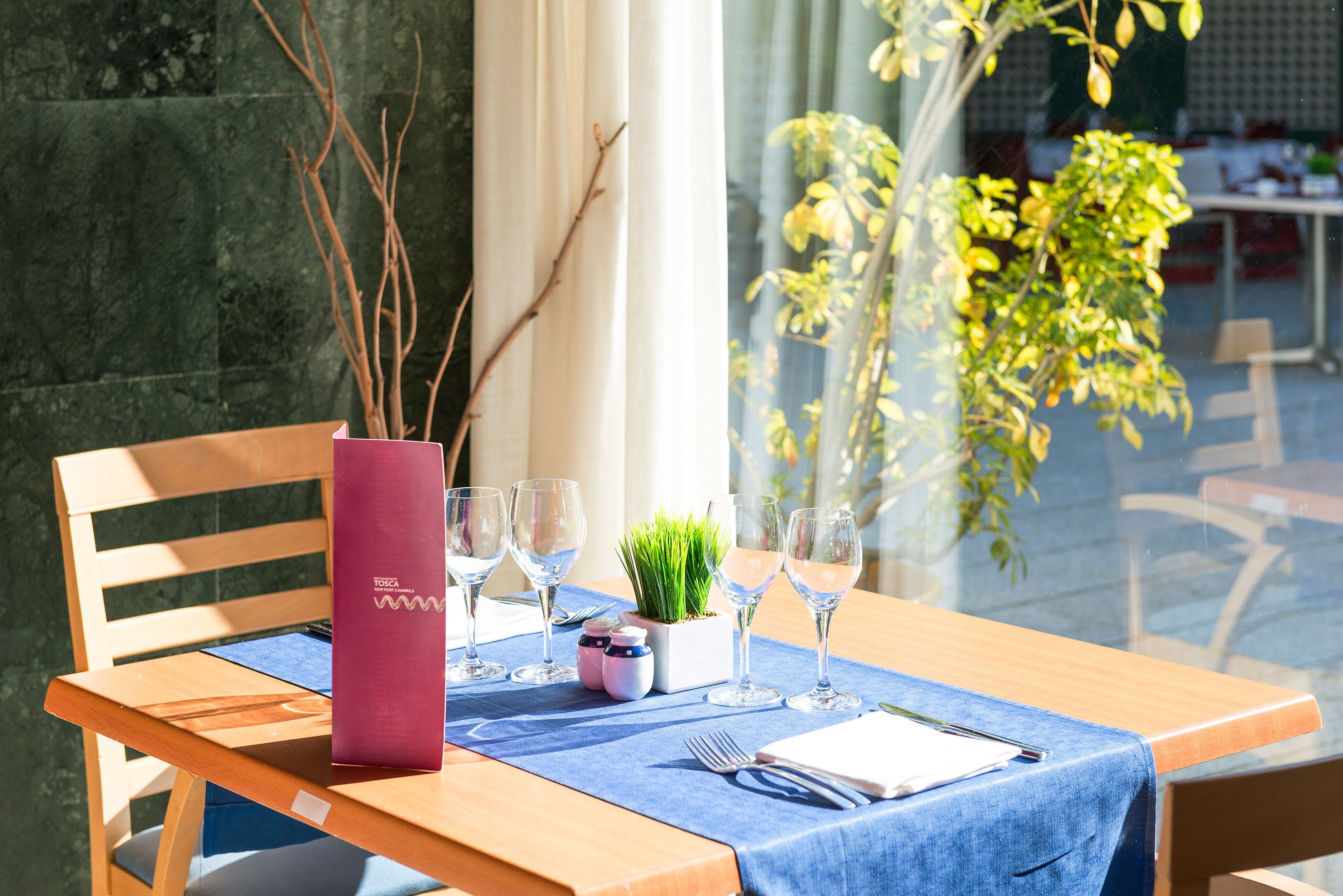 A dining table set with a blue tablecloth, a menu, wine glasses, and a small plant.
