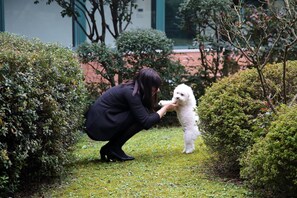 Pet-friendly