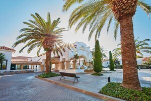 Un patio empedrado con palmeras, un banco y una fuente.