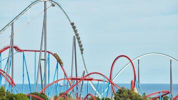 A roller coaster with multiple tracks and a coastal backdrop.
