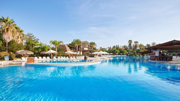 Una piscina amplia y cristalina con sillas de descanso y sombrillas, rodeada de palmeras y zonas con sombra.