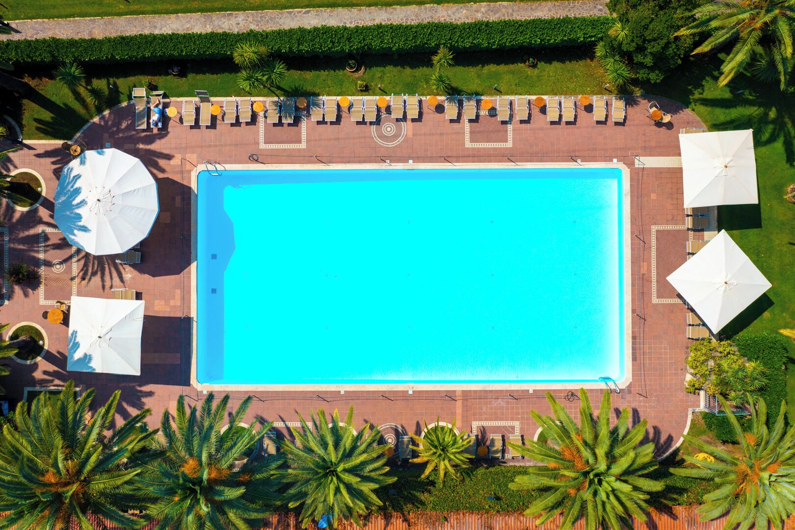 An aerial view of a rectangular swimming pool with lounge chairs and umbrellas arranged around it, surrounded by palm trees and a well-maintained lawn.