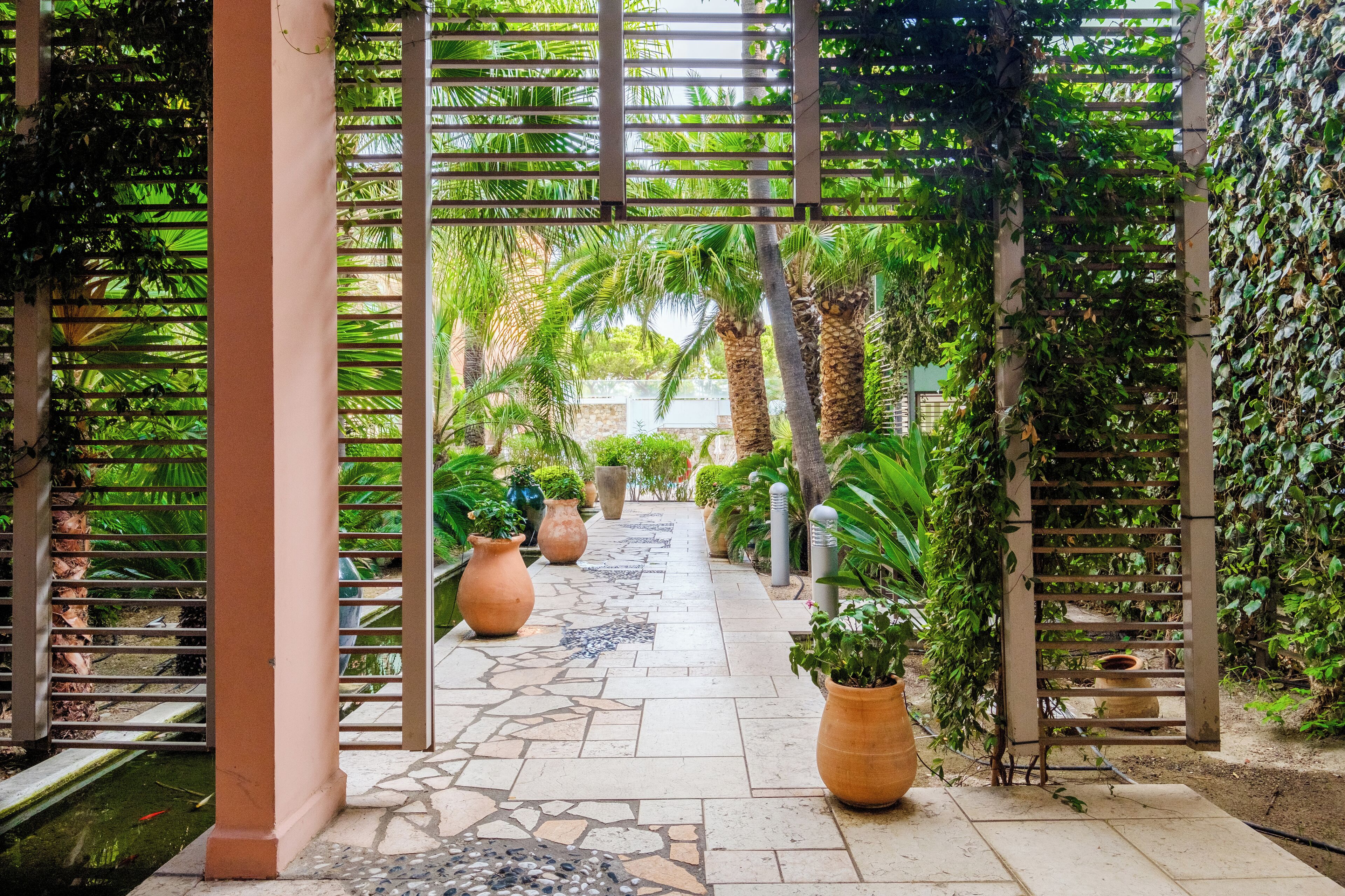 Un sendero bordeado de plantas en macetas y una estructura de pérgola.