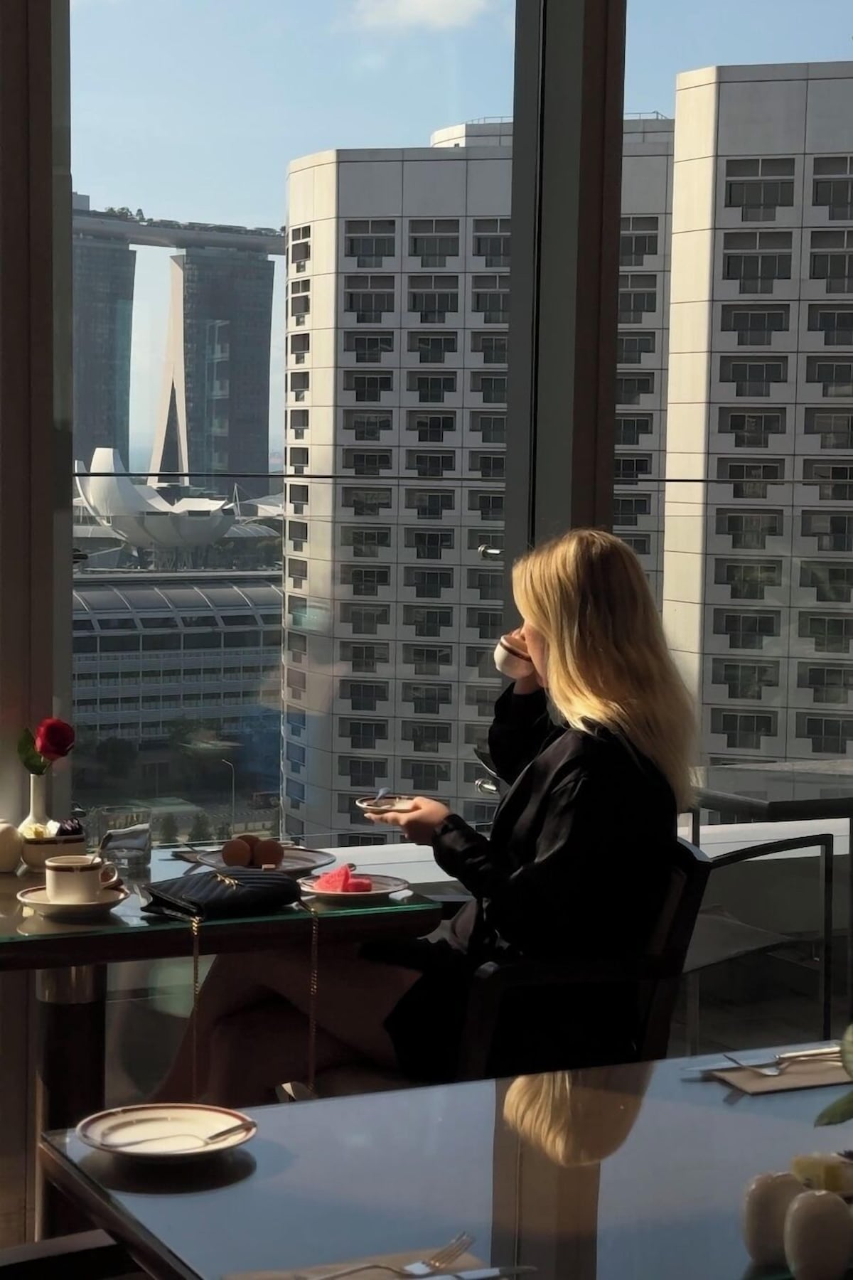 新加坡 Carlton Hotel Singapore 酒店 景观