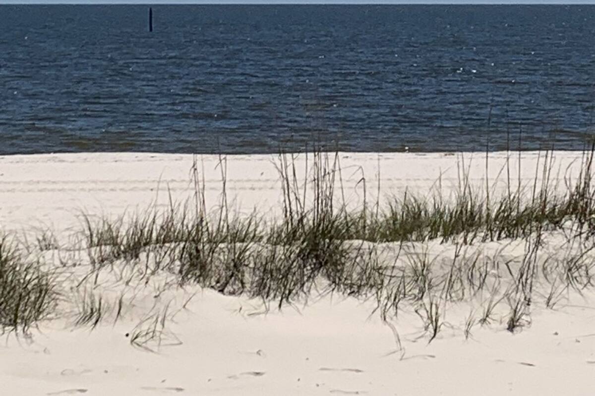 En strand med sand och gles gräsvegetation i förgrunden, som leder fram till ett lugnt hav under en klar himmel.
