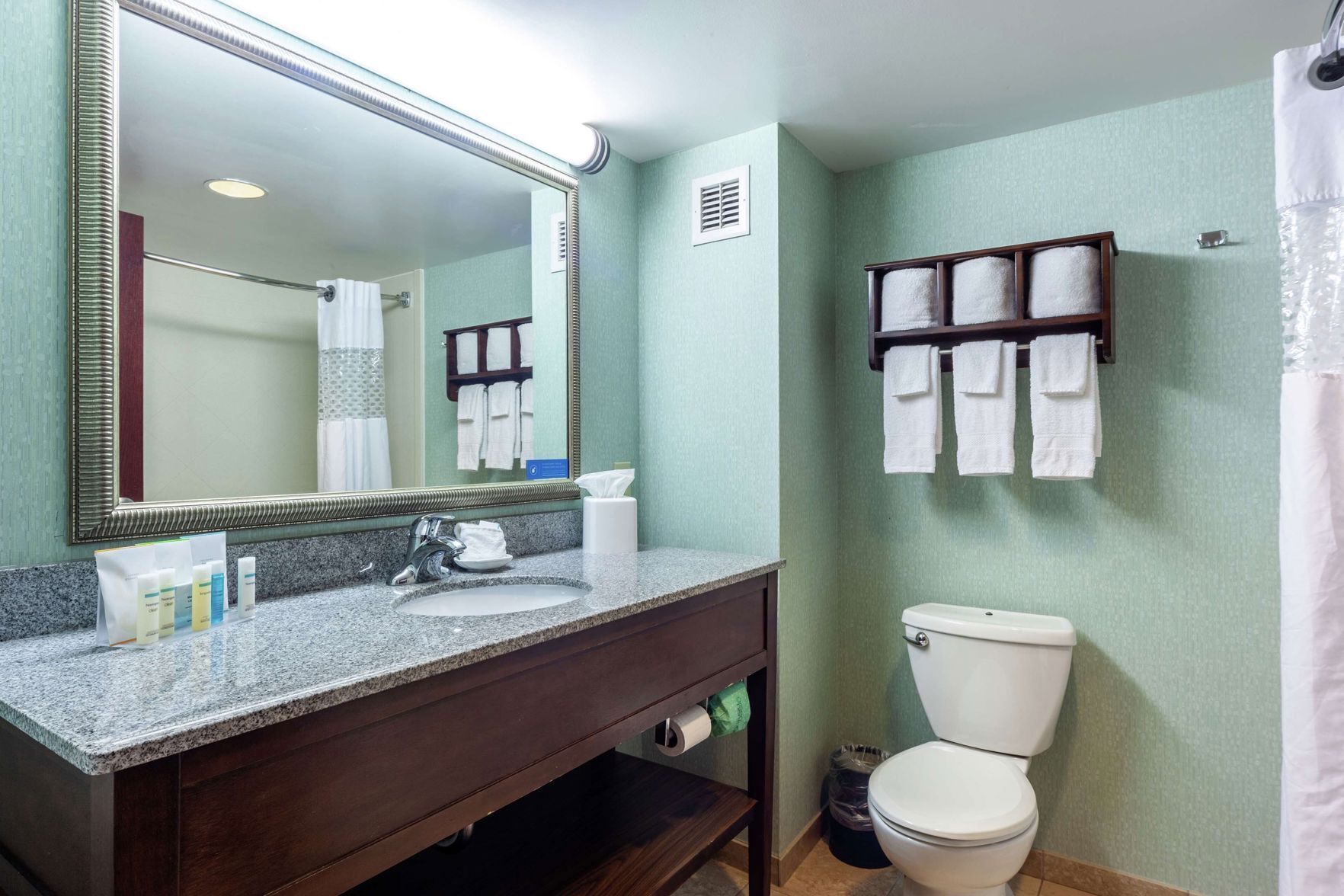 Bathroom | Combined shower/tub, free toiletries, hair dryer, towels