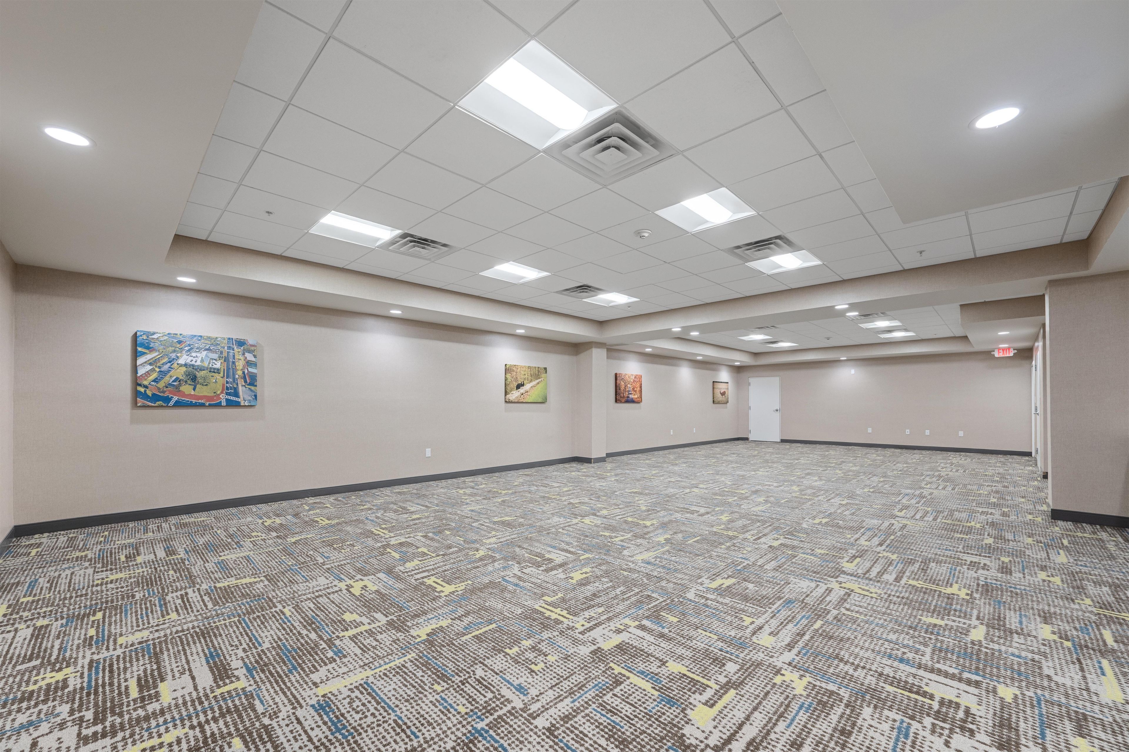 A large conference room with a patterned carpet, recessed ceiling lights, and artwork on the walls.