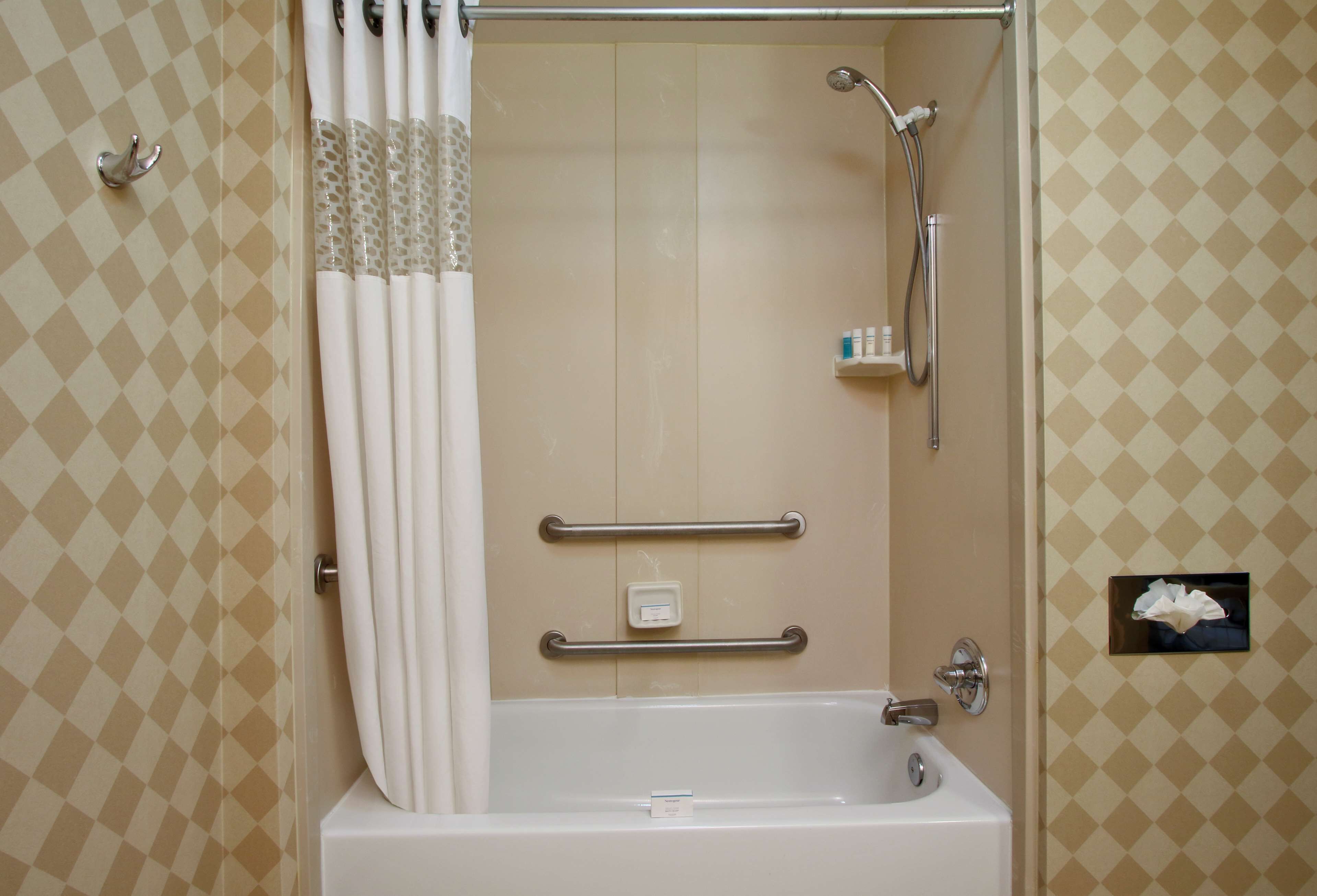 combined shower/bathtub, free toiletries, hair dryer, towels