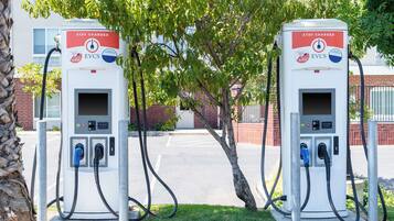 Dos estaciones de carga para vehículos eléctricos con un árbol al fondo.