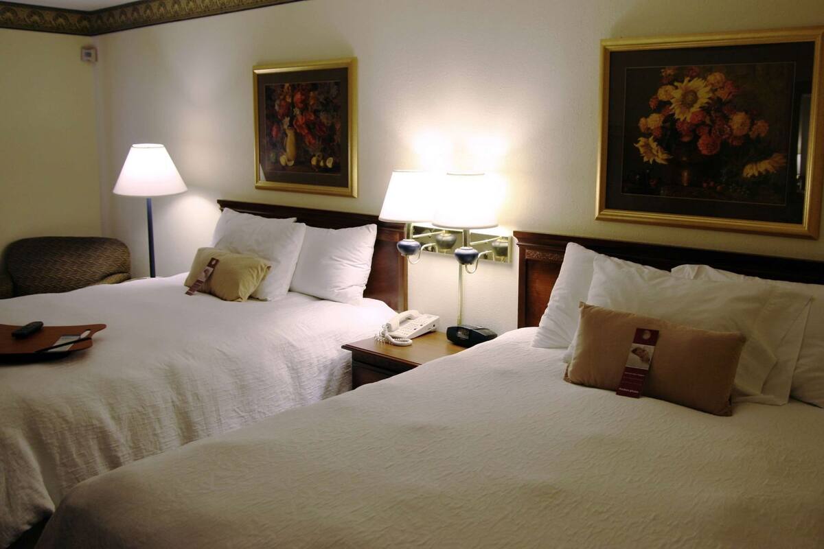 A hotel room with two beds, a nightstand with a lamp, a telephone, and two paintings on the wall.