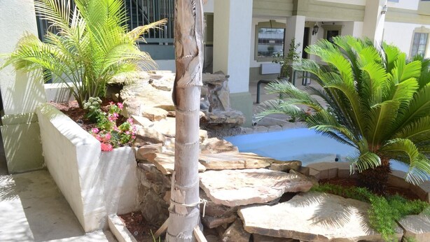 A landscaped outdoor area with a rock garden, palm trees, and a small water feature. - Scottish Inns & Suites at NRG Park (Houston)